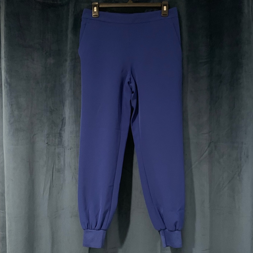 Express Jogger Dress Pant